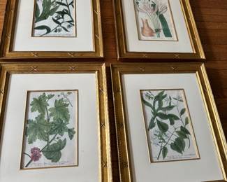 Vintage botanicals