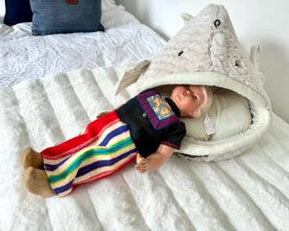 Cat bed and old toys