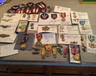 Variety of WWII and Vietnam military pins