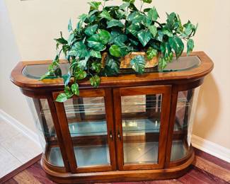 More curio storage with a healthy plant on top.  Limited sun and occasional dusting required.