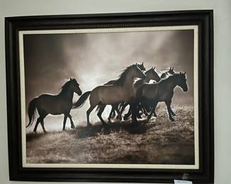 Large Horse Picture
