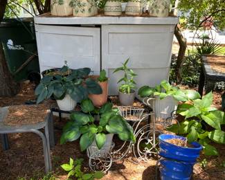 Plants, Platers, Outdoor Items, Storage Cabinet