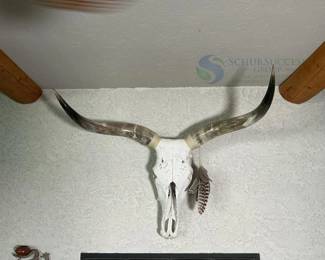 Longhorn Steer Skull Mount with 36" Horn Span