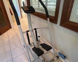Gold's Gy Stepper 2000 Machine