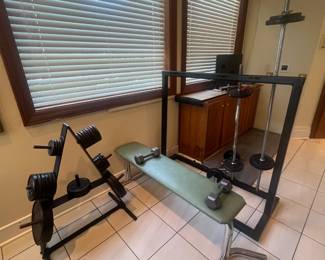 Plate rack w/ weights, bench, dumbells, weight bars