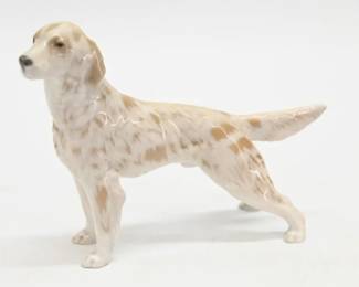 Irish Setter
