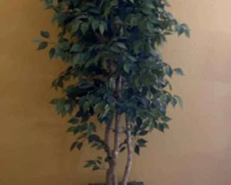 Large 7.5 Ft Tall Artificial Ficus Tree In Pot