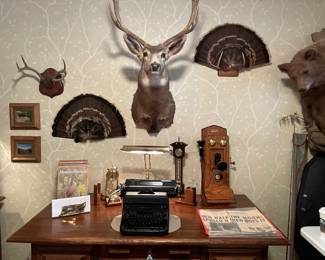 Office filled with trophy mounts