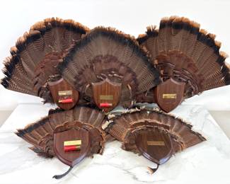 Lot 4694 Turkey Hunting Trophies Tail Fan Shotgun Shell Mounted Plaque
