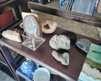 Agate & Fossil Collection ..$20 each