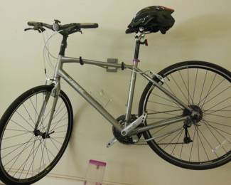 Trek bike
