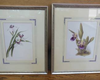 pair botanical prints