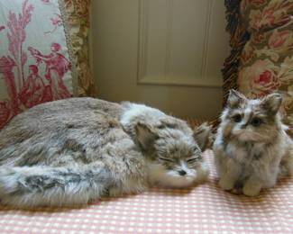 mother cat and kitten toy