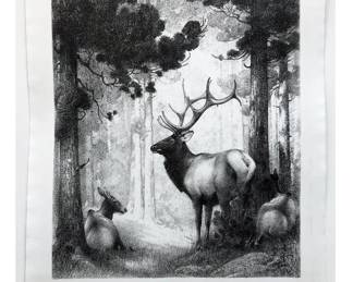 buck