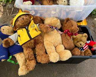 100 anniversary teddy bears!