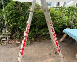 Titan by Little Giant 250 pound rated!