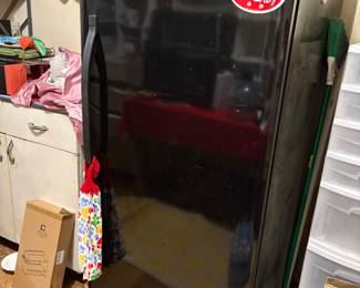Upright digital freezer