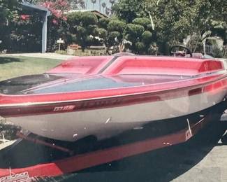 Canyon Marine 21' day cruiser and trailer.