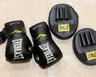 Everlast Punching Glove Set