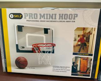 SKIZ Pro Mini Hoop