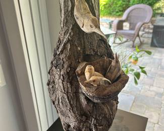 Fabulous Wood Carving of Mother Bird w Three Birds in Nest