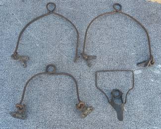 43IMG 0155