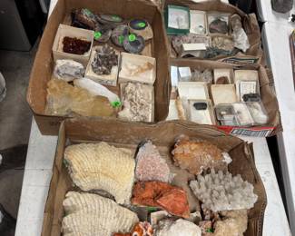 Rocks and Minerals