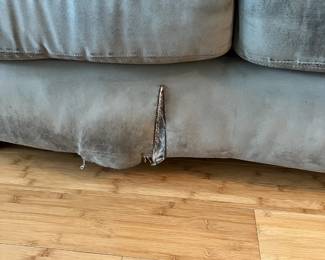 Comfortable, but well-loved couch. L 92 in, W 41in, 36 in. Available for presale. Text 407-448-3093.