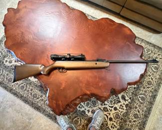 Remington Vantage 1200. .177 cal. Model RW1K77X2.