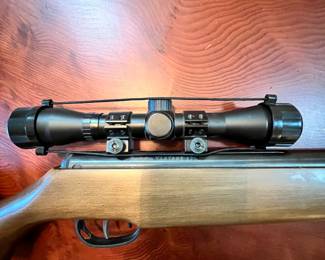 Remington Vantage 1200. .177 cal. Model RW1K77X2.