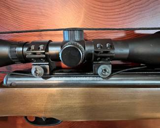 Remington Vantage 1200. .177 cal. Model RW1K77X2.