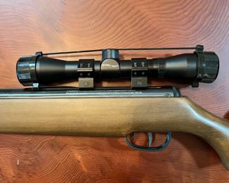 Remington Vantage 1200. .177 cal. Model RW1K77X2.