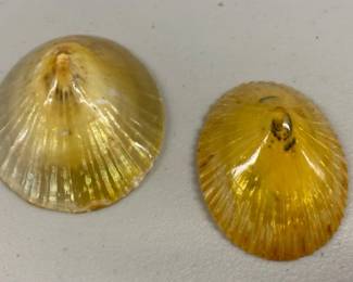 HHC160 - Pair of Vintage Unique Extra Large Polished Hawaiian Opihi Limpet Natural Shell