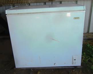Small chest type freezer, we plug it in two weeks ago and it freeze great.