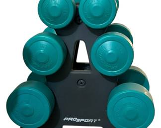 Hand Weight Set