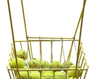 Tennis Balls and Carrier