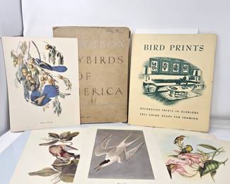 Lot of Lithographic Bird Prints From the Audubon Society - Over 35 - 9" x 12" w/ Info on the back - Roger Tory Peterson