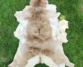 Lot #18 - Soft Antelope Hide - 4ft Long x 3ft Wide