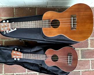 Ukes and cases