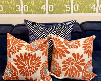 Decorative Down Pillows