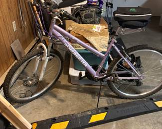Road master women’s bicycle