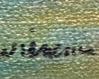 artist detail