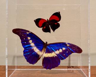 Morpho Butterfly Shadowbox