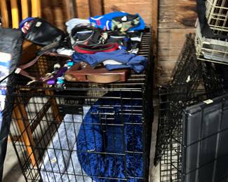 Lots of Dog supplies