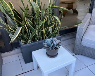 3 Small White Tables & 2 of the shorter rectangular planters