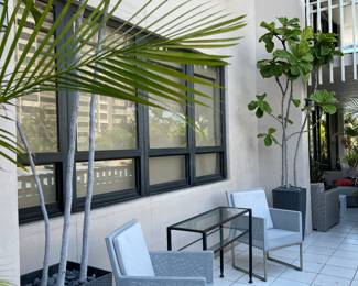 Pair of Tall trees in planters (Chairs NOT available)