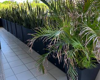 12 Long Rectangular Planters with Plants - 2 without top border - the rest with border at top - the planters measure 38" x 29 1/2" x 10" By Veradek