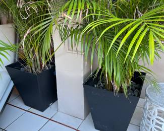5 of these black Veradek planters
