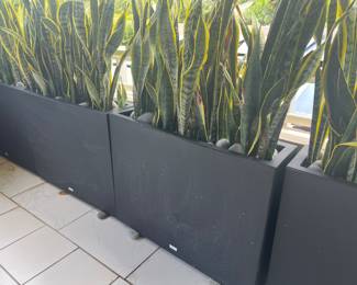 Only 2 without rim available 