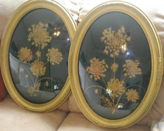 DRIED FLOWER PICTURES